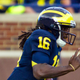Illustration for article titled Denard Robinson Had More Offense Than Michigan's Offense Today